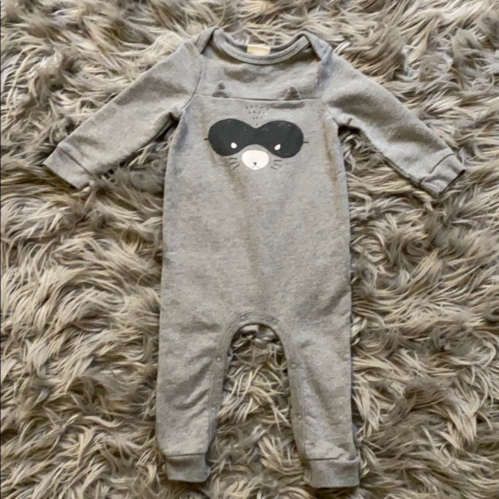 Raccoon 🦝 one piece